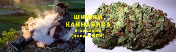 соль курить ск Бородино