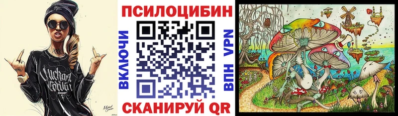 Псилоцибиновые грибы мицелий где купить наркотик Верхняя Пышма