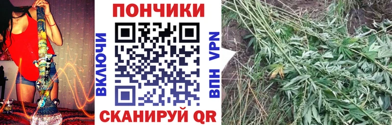 Бошки Шишки THC 21%  Верхняя Пышма 